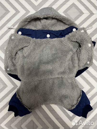 Одежда для собак