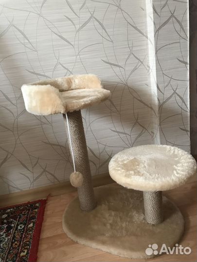Когтеточка для кошек бу