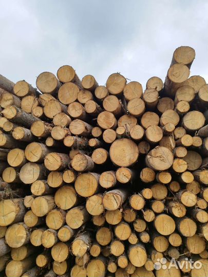 Пиломатериалы брус доска лес