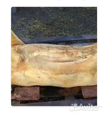 Домашняя необрезная свинина 300р