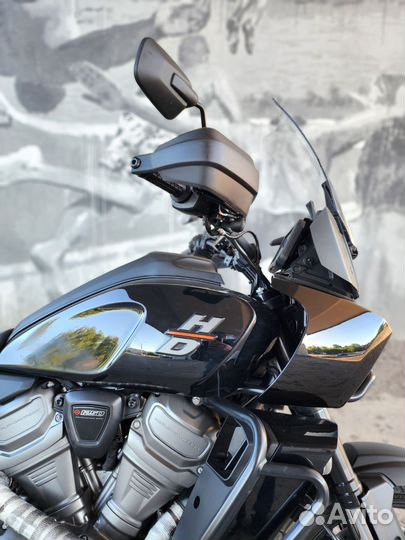 Harley Davidson Pan America