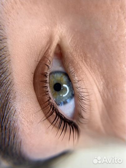 Ламинирование ресниц/бровей