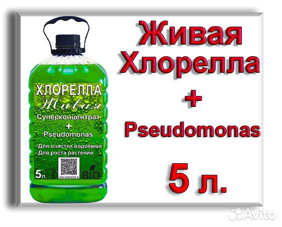Суперконцентрат Хлореллы + бактерии Pseudomonas