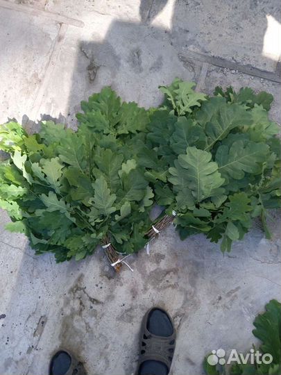 Банные веники