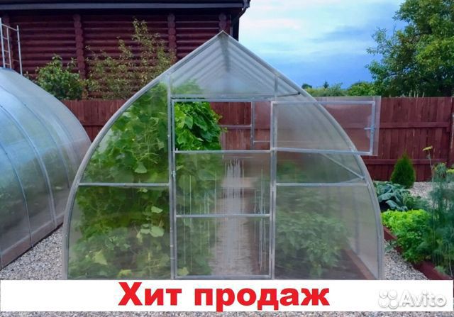 Теплица 