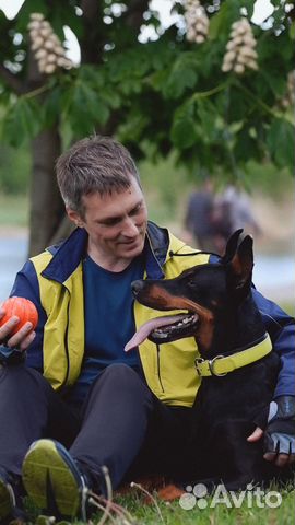 Дрессировка собак кинолог