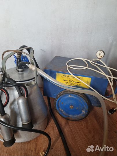 Коровы дойные молочные аппарат