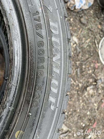 Dunlop Winter Maxx 175/60 R16