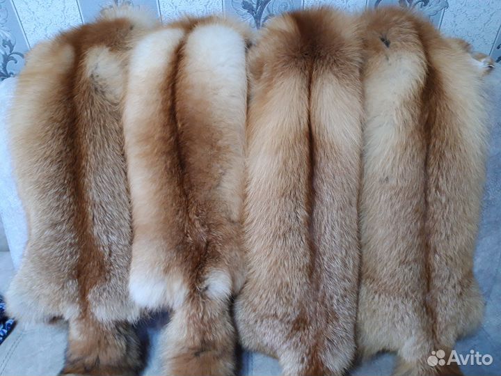 Шкурки лисы