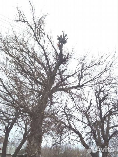 Вывоз,строительного мусора,разбор построек