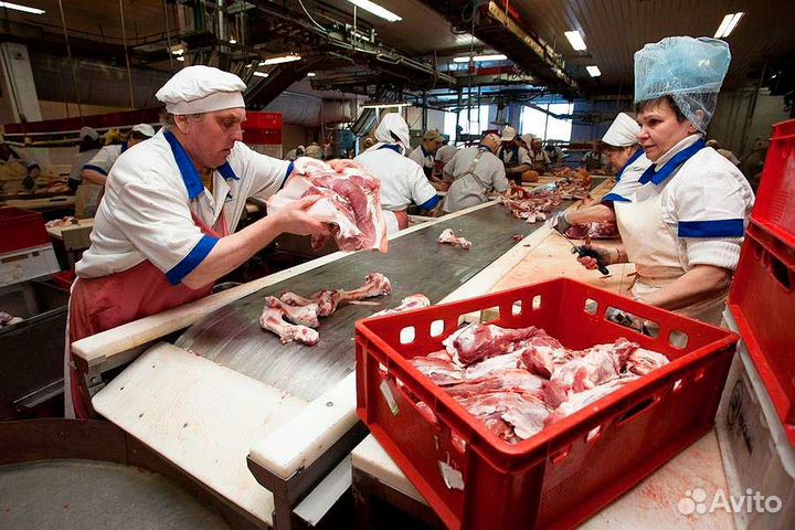 Упаковщик мясосырья/вахта с проживанием