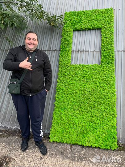 Стабилизированный мох, ягель, кочка, пласт, панно