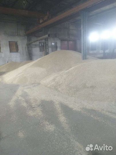 Продам рожь