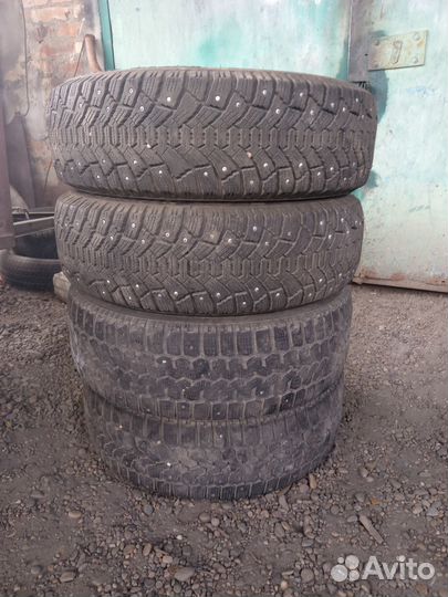 Tunga Tunga 6/6 R15