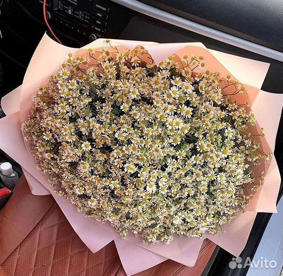 Ромашки Букет из ромашек доставка