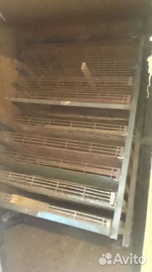 Инкубатор для яиц бу