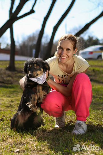 Миниатюрная собака из приюта в добрые руки