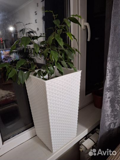 Кашпо с цветами