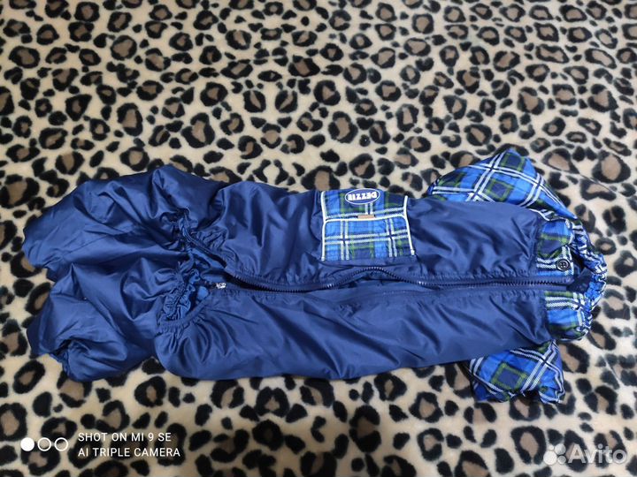 Комбинезон для собаки