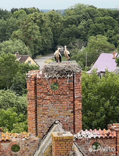 Экскурсия Правдинск-Железнодорожный-Шлюзы