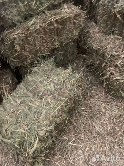 Сено солома в тюках