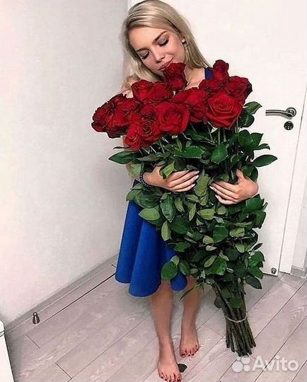 Розы гиганты 140 150 160 170 180 200