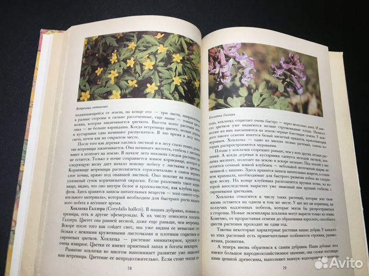 Растительный мир нашей Родины, Петров, 1981