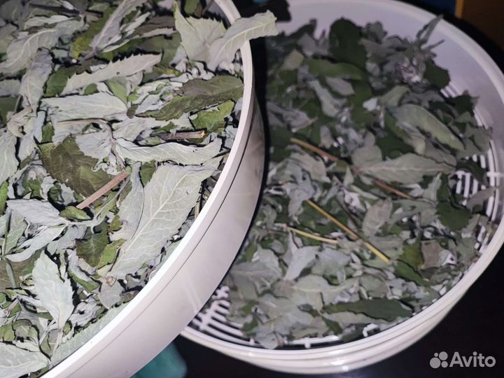 Мята сушеная