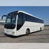 Туристический автобус MAN Lion's Coach, 2013