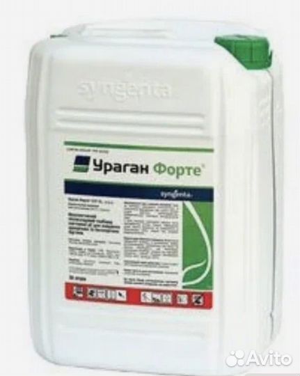 Ураган Форте