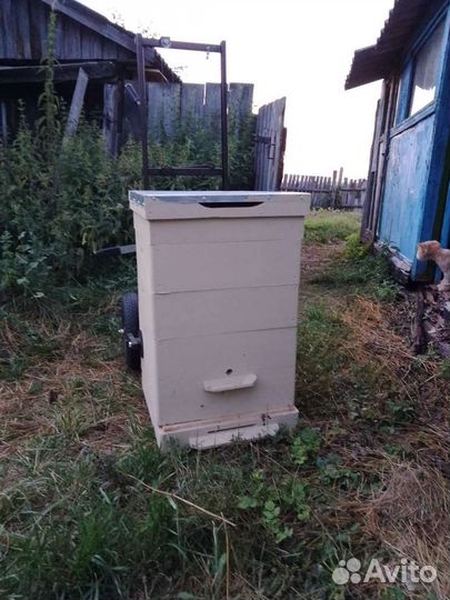 Ульи для пчел