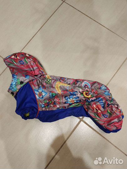 Дождевик для маленькой собаки