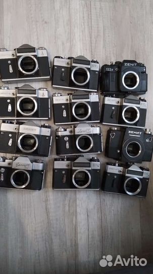 Тушки зенит 40шт