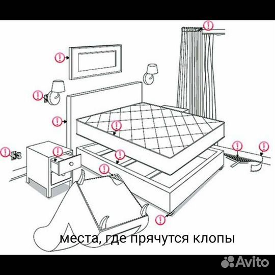 Уничтожение клопов травля тараканов