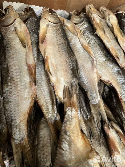 Сушеная вяленая вобла