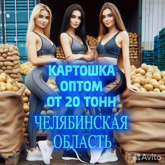 Картофель оптом
