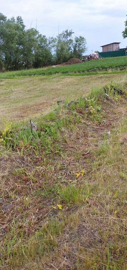 Участок 7 сот. (ИЖС)