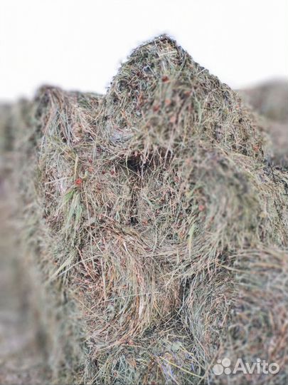 Сено в мини рулонах отава разнотравье с клевером