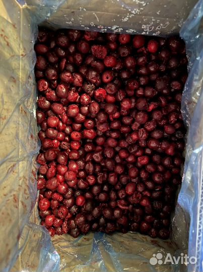 Вишня без косточки