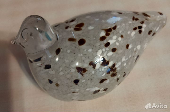 Птицы стекло