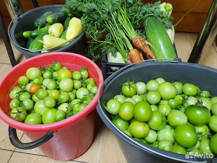 Навоз конский в мешках