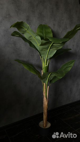 Искусственные деревья и цветы