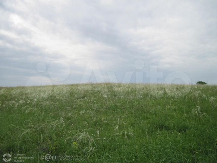 Участок 7,51 га (СНТ, ДНП)