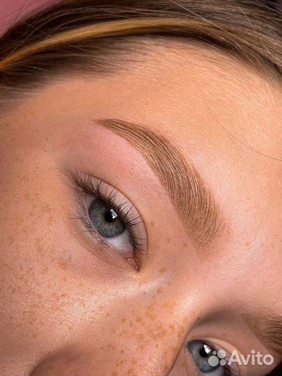 Обучение курс бровист