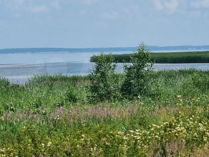 Участок 9,7 га (ИЖС)