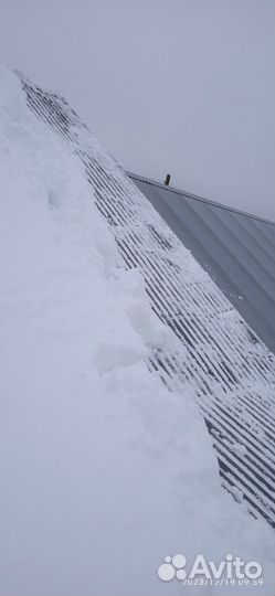 Спил деревьев. Уборка участка