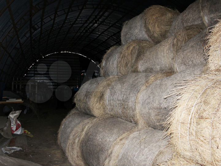 Готовый бизнес - ферма