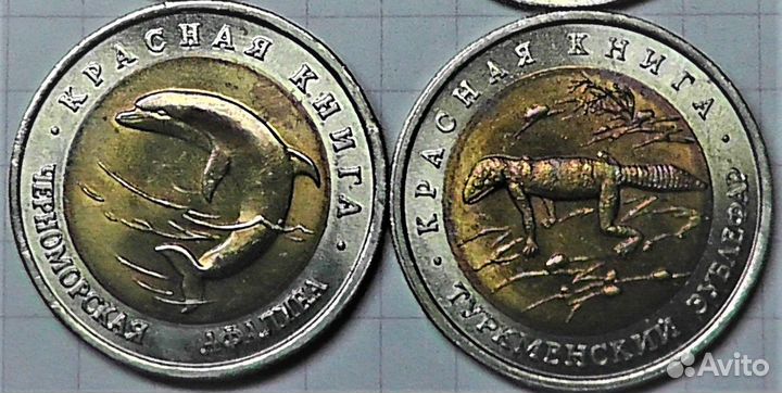 Красная книга: Зублефар, Афалина