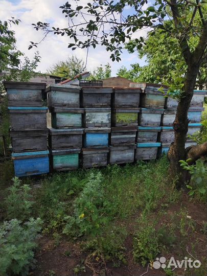 Улей для пчел