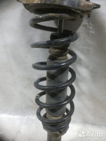 Амортизатор задний задний правый Toyota Corolla